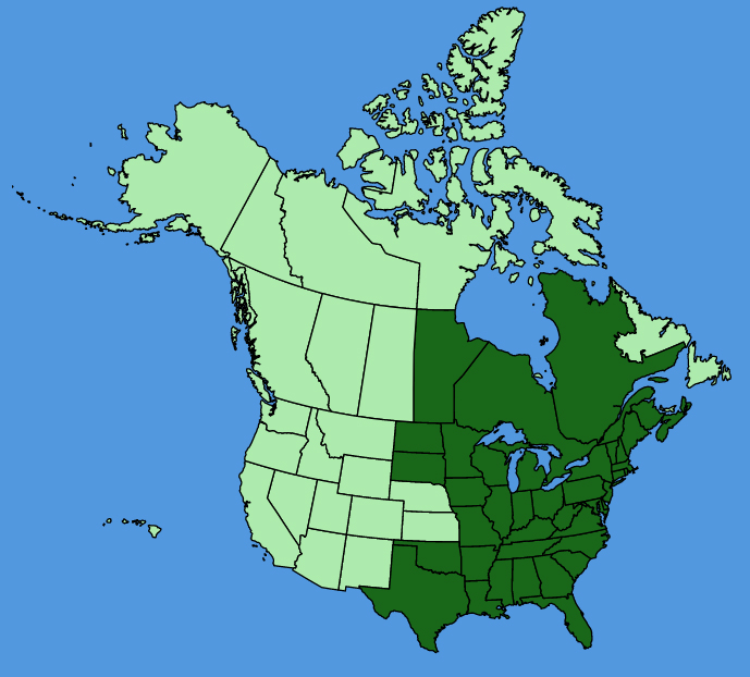 map-usc-Uvularia-sessilifolia.JPG
