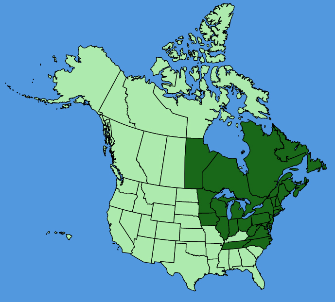map-usc-Vaccinium-angustifolium.JPG