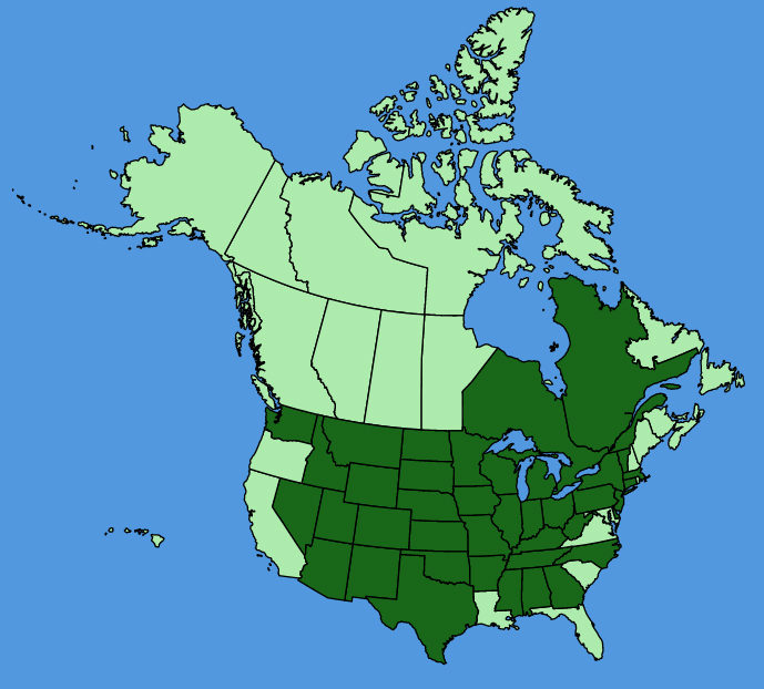 map-usc-Verbena-stricta.JPG