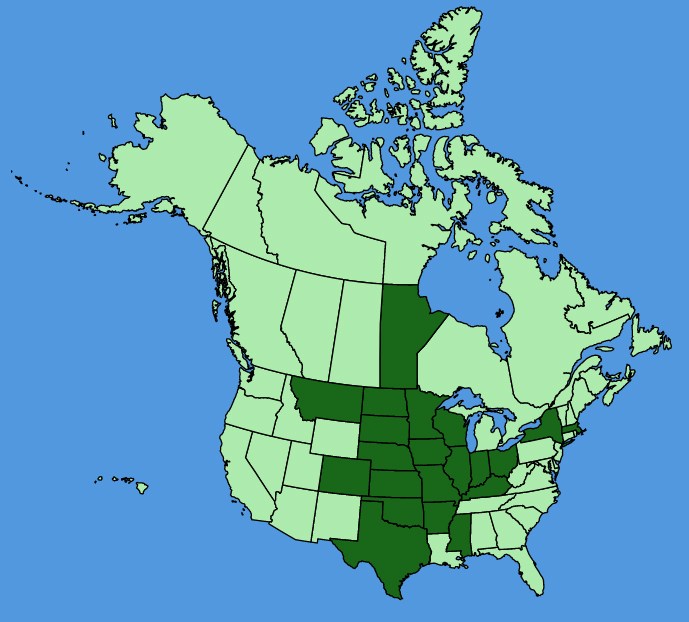 map-usc-Vernonia-fasciculata.JPG