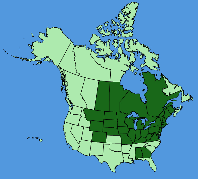 map-usc-Viburnum-lentago.JPG