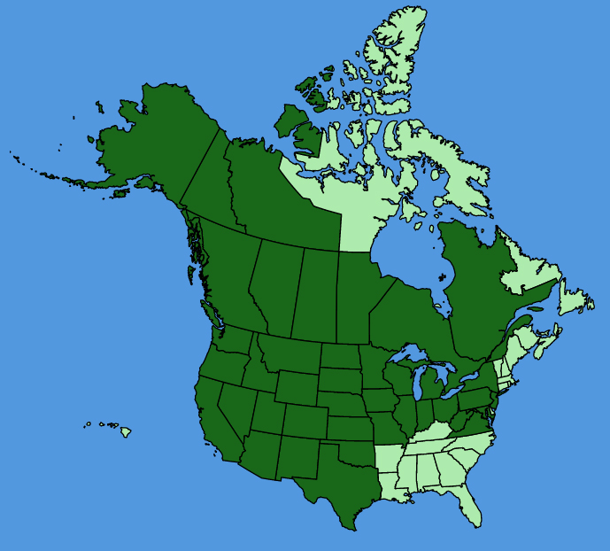 map-usc-Vicia-americana.JPG