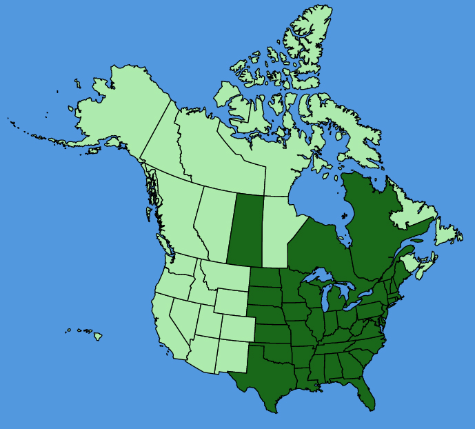 map-usc-Viola-sororia.JPG