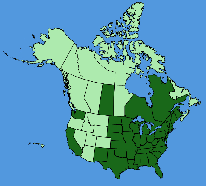 map-usc-wf-Acer-saccharinum.JPG