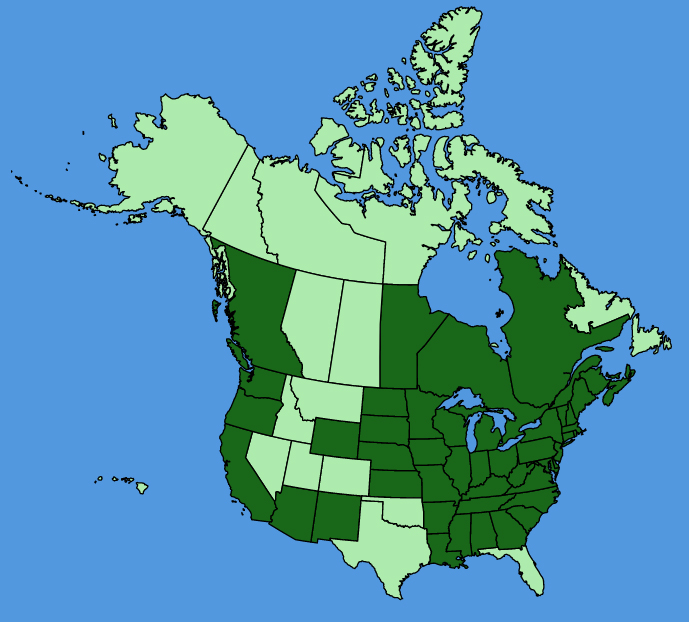 map-usc-wf-Agrimonia-gryposepala.JPG
