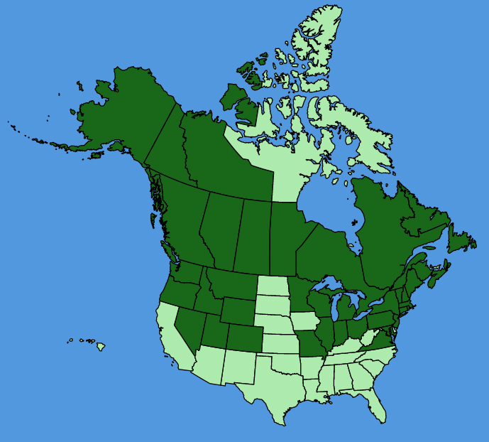 map-usc-wf-Allium-schoenoprasum.JPG