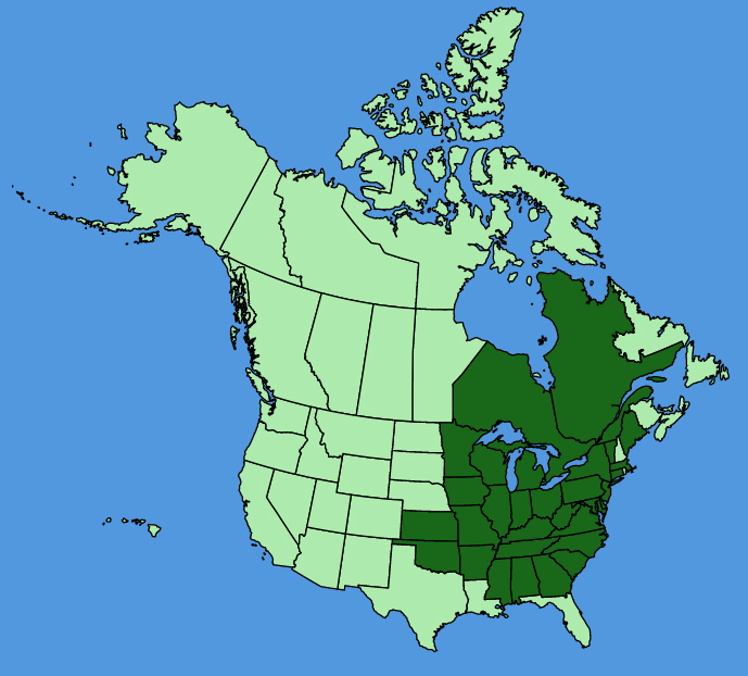 map-usc-wf-Aplectrum-hyemale.JPG