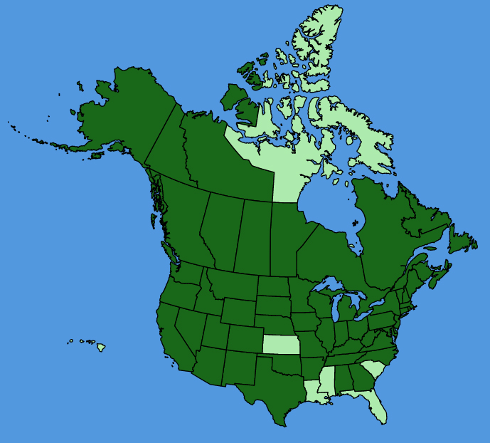 map-usc-wf-Apocynum-androsaemifolium.JPG