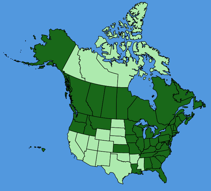 map-usc-wf-Artemisia-vulgaris.JPG