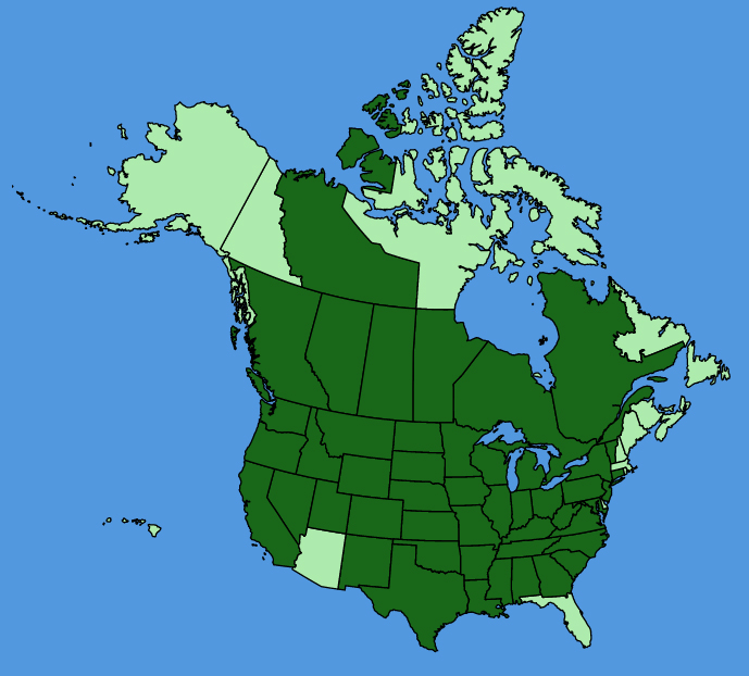 map-usc-wf-Astragalus-canadensis.JPG