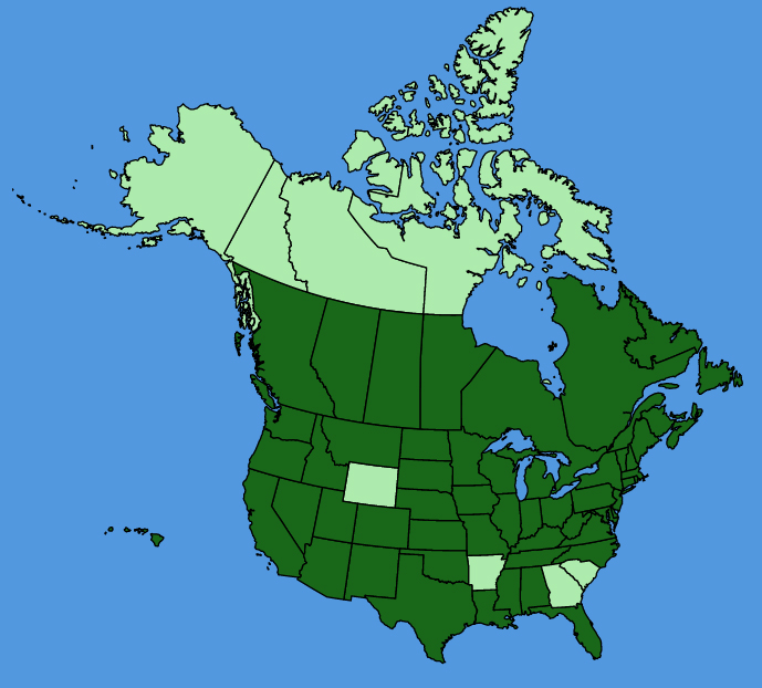 map-usc-wf-Brassica-nigra.JPG