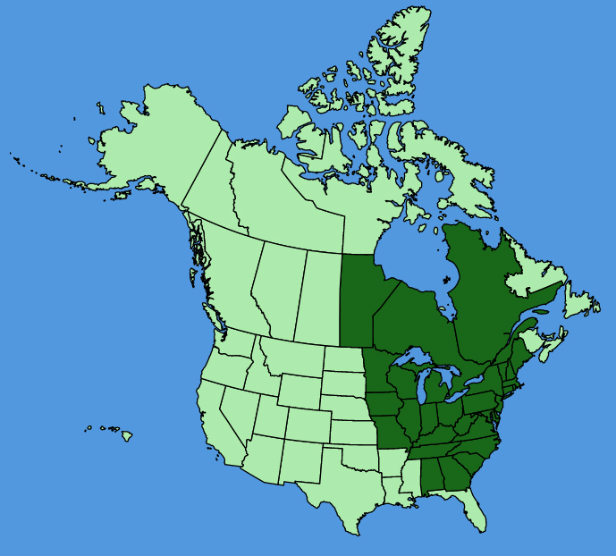map-usc-wf-Calystegia-spithamaea.JPG