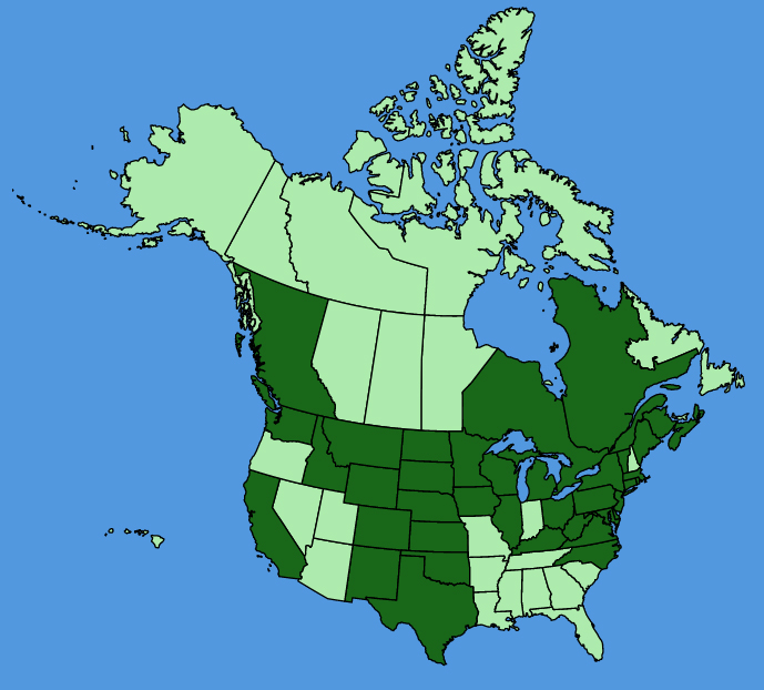map-usc-wf-Carduus-acanthoides.JPG