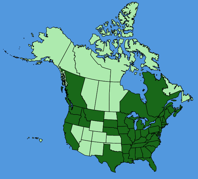 map-usc-wf-Carex-comosa.JPG