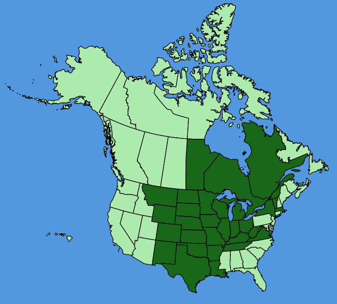 map-usc-wf-Ceanothus-herbaceus.JPG