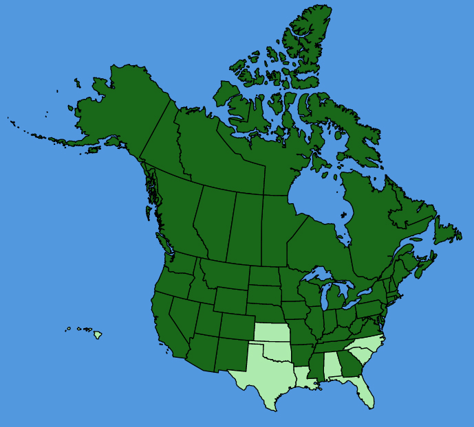 map-usc-wf-Cerastium-arvense.JPG