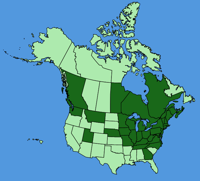 map-usc-wf-Chelidonium-majus.JPG