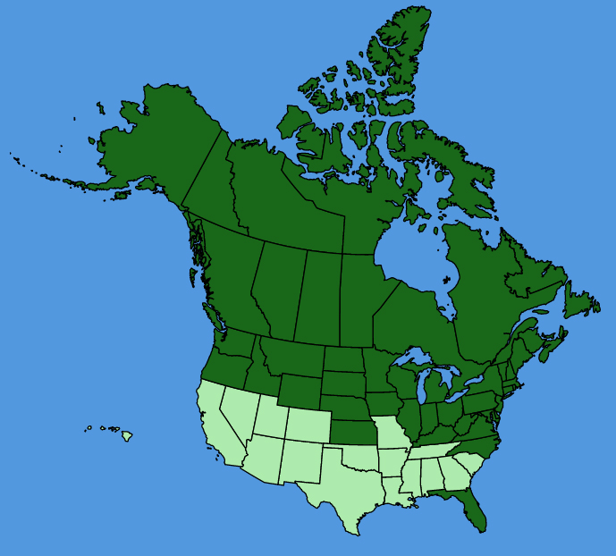 map-usc-wf-Cicuta-bulbifera.JPG