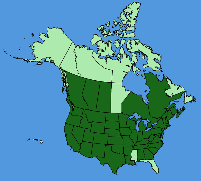 map-usc-wf-Conium-maculatum.JPG