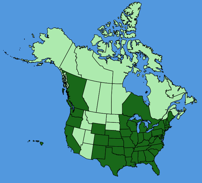 map-usc-wf-Coreopsis-lanceolata.JPG