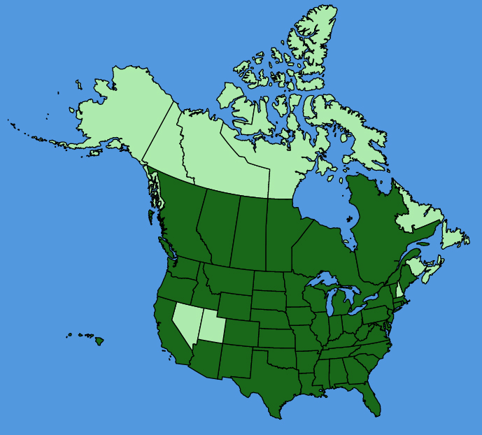 map-usc-wf-Coreopsis-tinctoria.JPG