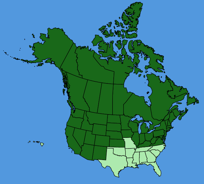 map-usc-wf-Cornus-sericea.JPG