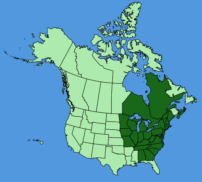 map-usc-wf-Crocanthemum-canadense.JPG