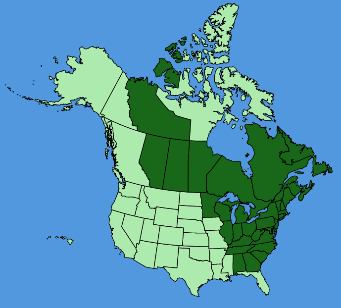 map-usc-wf-Cypripedium-acaule.JPG