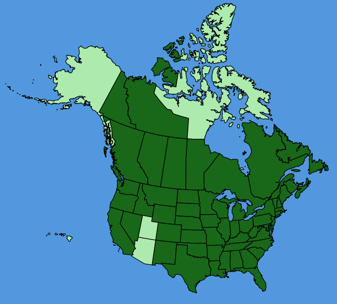 map-usc-wf-Erigeron-philadelphicus.JPG