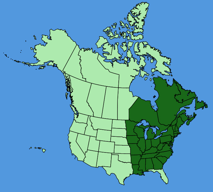 map-usc-wf-Erythronium-americanum.JPG
