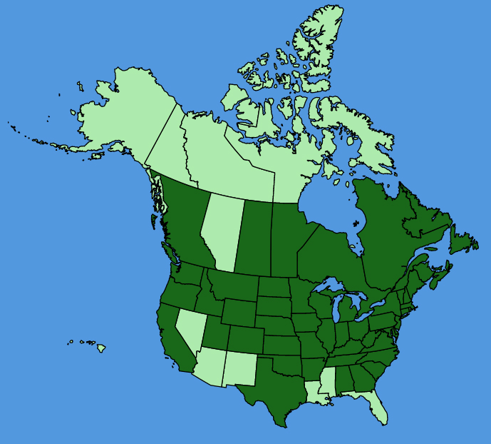 map-usc-wf-Euphorbia-cyparissias.JPG