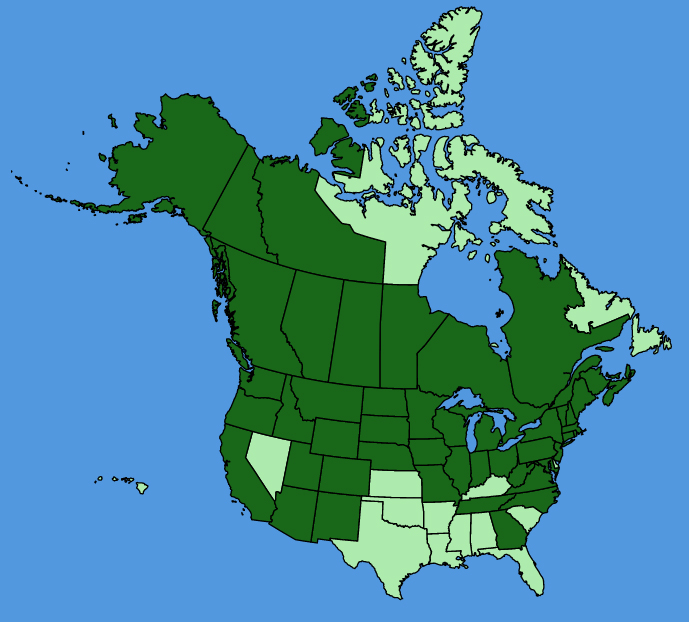 map-usc-wf-Geum-aleppicum.JPG