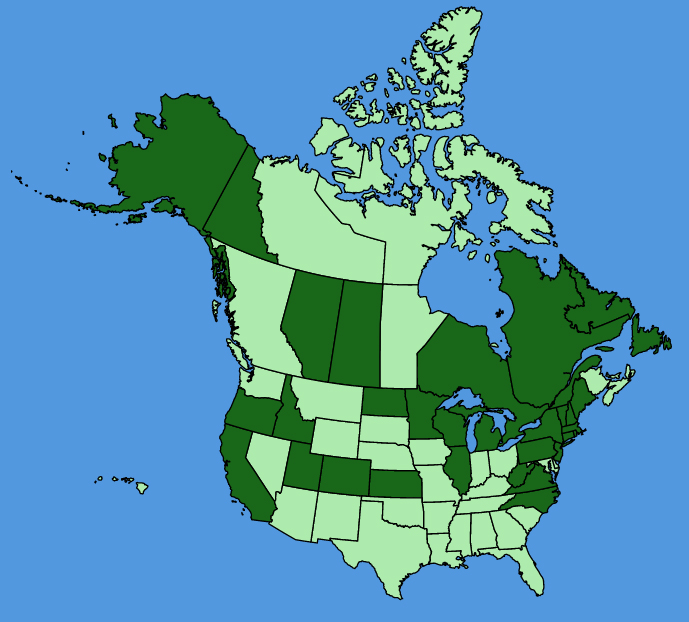 map-usc-wf-Gypsophila-elegans.JPG