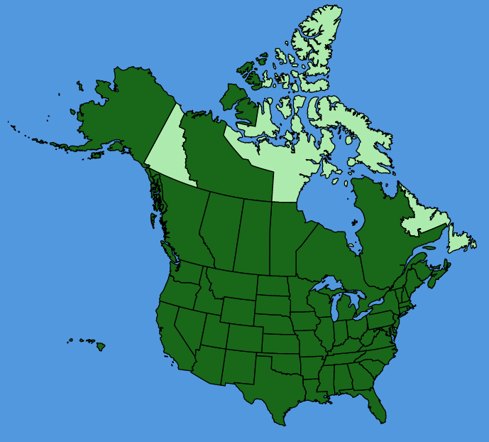 map-usc-wf-Helianthus-annuus.JPG