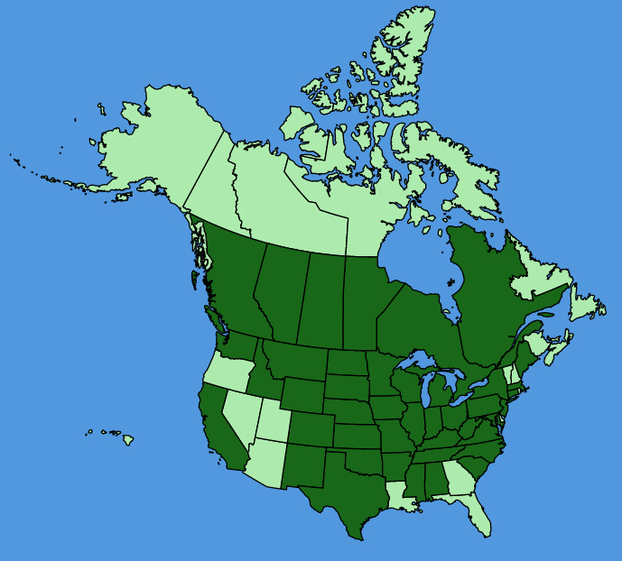 map-usc-wf-Helianthus-maximiliani.JPG