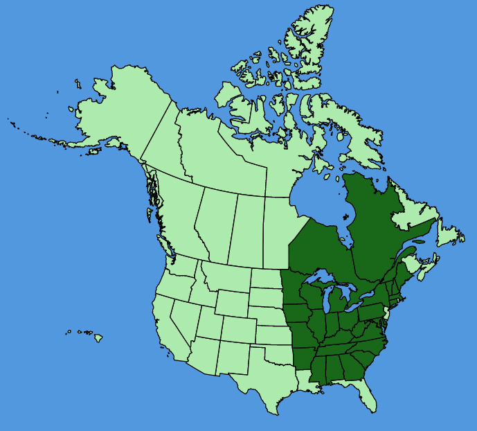 map-usc-wf-Hepatica-acutiloba.JPG