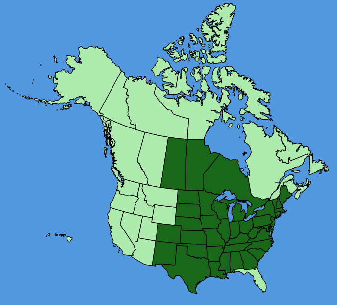 map-usc-wf-Hypoxis-hirsuta.JPG