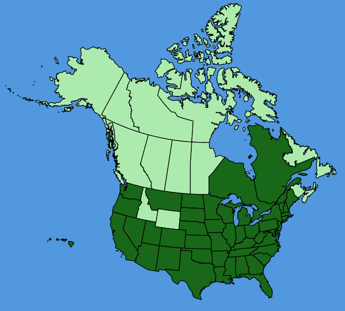map-usc-wf-Ipomoea-purpurea.JPG