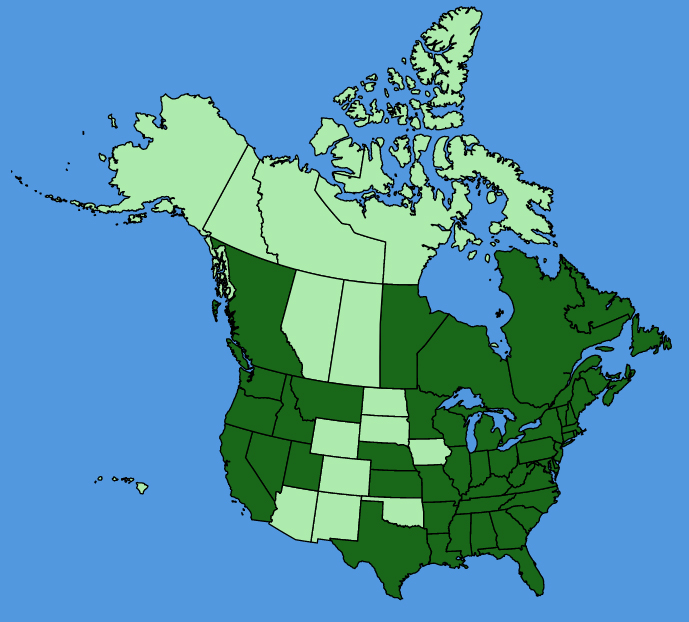 map-usc-wf-Iris-pseudacorus.JPG