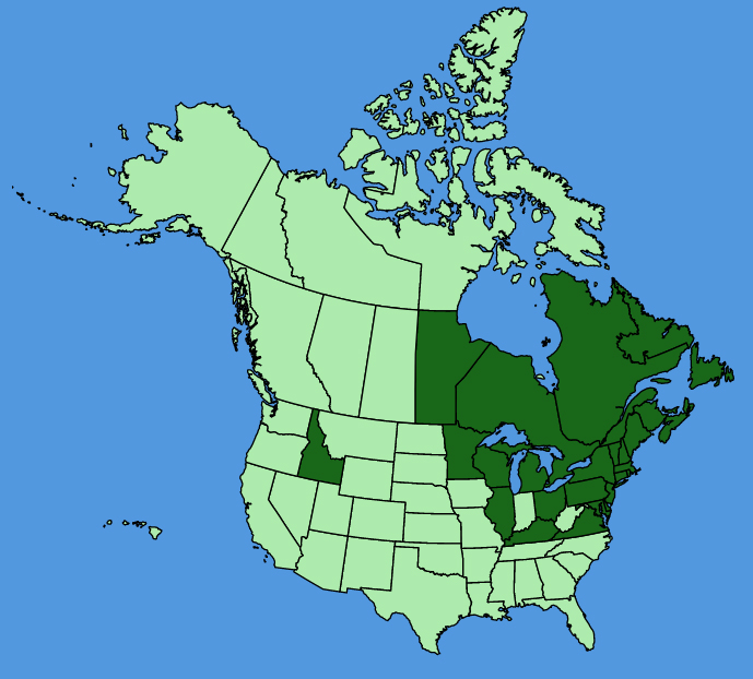 map-usc-wf-Iris-versicolor.JPG