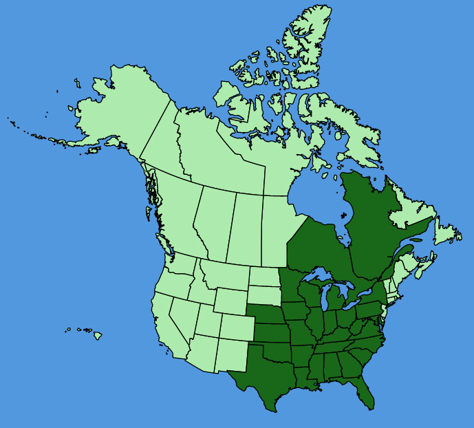 map-usc-wf-Iris-virginica.JPG