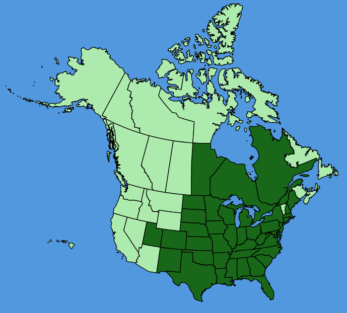 map-usc-wf-Juglans-nigra.JPG