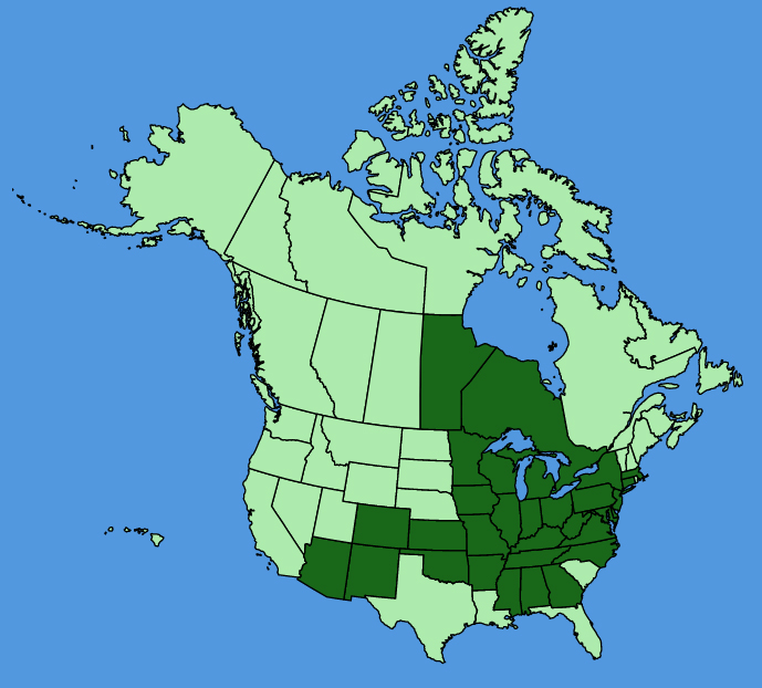 map-usc-wf-Krigia-biflora.JPG