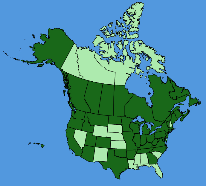 map-usc-wf-Lapsana-communis.JPG