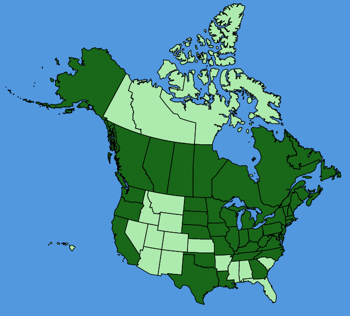 map-usc-wf-Lathyrus-palustris.JPG