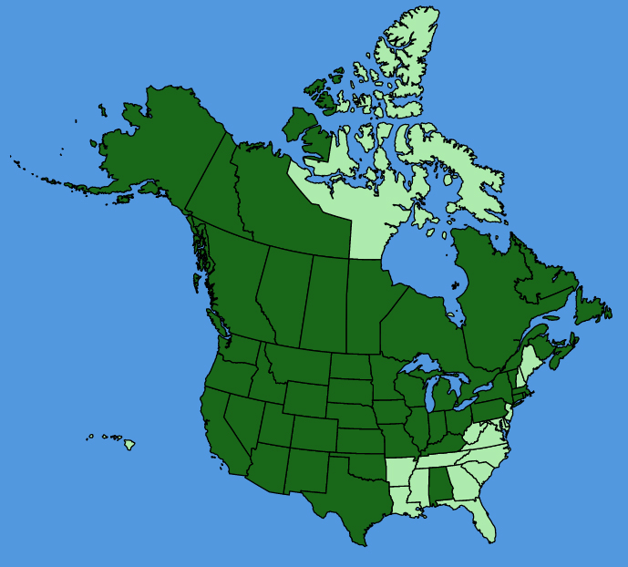 map-usc-wf-Lemna-turionifera.JPG