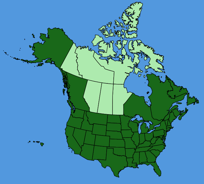 map-usc-wf-Lepidium-virginicum.JPG