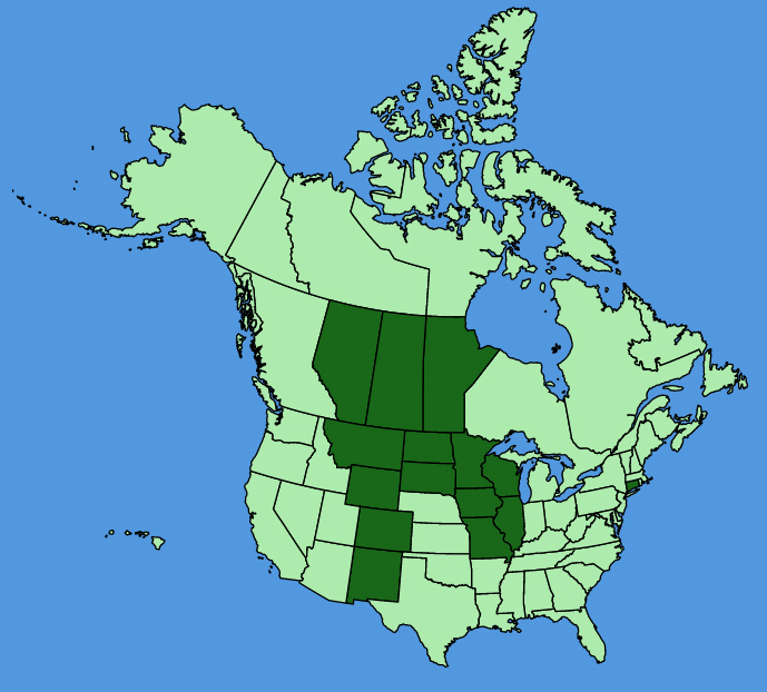 map-usc-wf-Liatris-ligulistylis.JPG