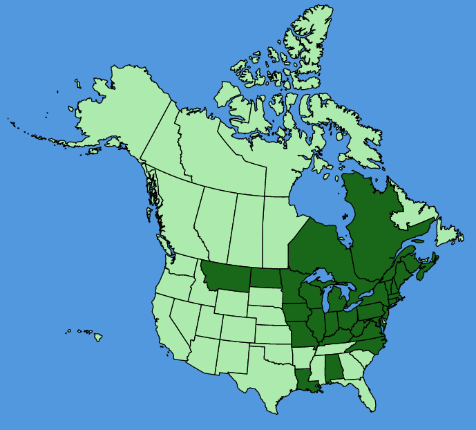 map-usc-wf-Lilium-lancifolium.JPG