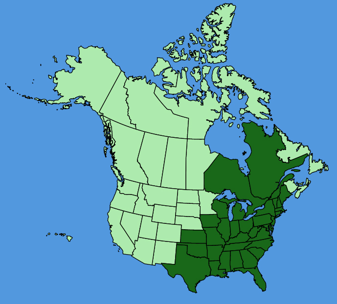 map-usc-wf-Lonicera-sempervirens.JPG